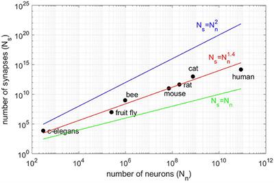 Simulation of Large Scale Neural Models With Event-Driven Connectivity Generation